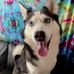 Daniel Sota - Facebook