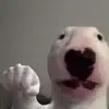 Daniel Sotelo - @danielsotelo58 - TikTok