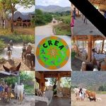 Daniel Soucy - @lecubacois - Instagram