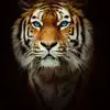 Daniel Soucy - @daniel.soucy5 - TikTok
