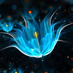 Daniel Soukup - @_eksthar - Instagram