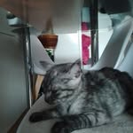 Daniel Soukup - @soukup5480 - Instagram