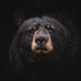 Daniel Soulas - Facebook