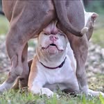 Daniel Soules - @dawn.soules.18 - Instagram