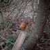 Daniel Souter - Facebook
