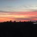 Daniel Island, Charleston, South Carolina - Facebook