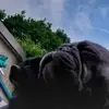 Daniel Southern - @daniel.southern8 - TikTok