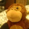 danielsouthwelleasdo - @mr.monkey2020 - TikTok