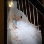 Daniel Sowder - @sowder.daniel - Instagram