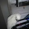 danielsowder922 - @danielsowder922 - TikTok