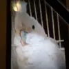 danielsowder - @danielsowder - TikTok
