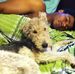 Daniel Sowell - Facebook