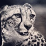 Daniel - @_daniel_space_ - Instagram