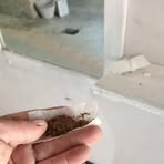 Daniel Spadafora - Facebook