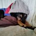 Daniel Spadaro - Facebook