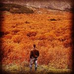 Daniel Spagnoli - @daniel_spagna - Instagram