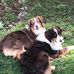 Daniel Spahr - Facebook