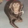 Daniel Spangler - @daniel.spangler7 - TikTok
