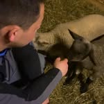 @danielspangenberg27 - Instagram