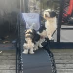 Daniel Spängler - @danielspaengler - Instagram