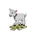 Daniel Spatacean - Facebook