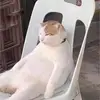 danielsspeak - @danielsspeak - TikTok