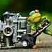 Dani Speed - Facebook