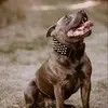 Daniel Speers - @daniel.speers - TikTok