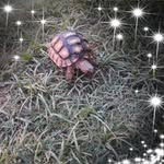 Daniel Spengler - @daniel.spengler.77 - Instagram