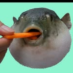 Daniel Spengler - @daniel.spengler.148 - Instagram