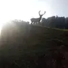 spenglerdaniel - @spenglerdaniel - TikTok