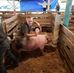 Daniel Spiker - Facebook