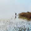 Daniel Spillane - @daniel.spillane8 - TikTok