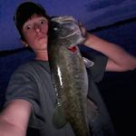 daniel spiller - @bass_masta_dan - Instagram