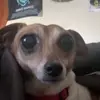 Daniel Spillman - @daniel_spillman - TikTok