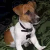 Daniel Spinks - @user204542948 - TikTok
