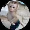 Daniel Espino - @danielespino - TikTok