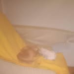 Daniel Spirovski - @daniel.spirovski.9 - Instagram