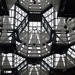 Daniel Splane - @splanedaniel - Instagram