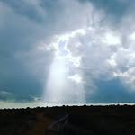 Daniel Spoon - @spoon.daniel - Instagram