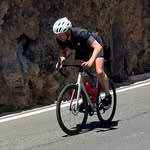 Daniel Sprecher - @daniel_seehorn - Instagram