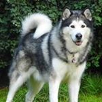 Daniel Spriestersbach - @danielspriestersbach - Instagram