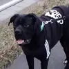 danielspriestersbach - @danielspriestersbach - TikTok