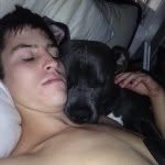 Daniel Springfield - @springdogs - Instagram