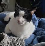 Daniel Springman - Facebook