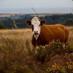 Daniel Sprout - @in.stagramit - Instagram