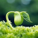 @danielsprout - Instagram