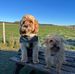 Daniel Squire - Facebook
