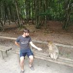 Daniel Stäbler - @major_dan1893 - Instagram