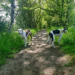 Daniel Stackhouse - @stackhouse_999 - Instagram
